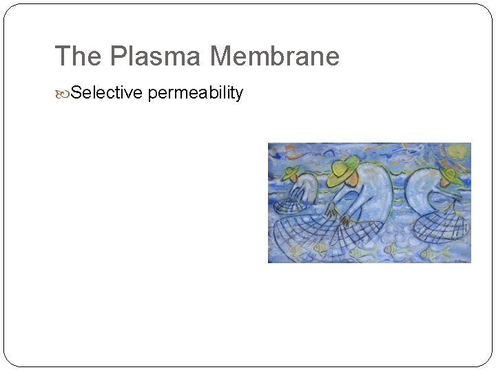 The Plasma Membrane Selective permeability 