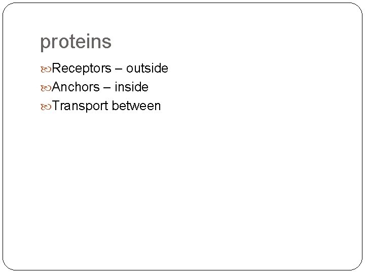 proteins Receptors – outside Anchors – inside Transport between 
