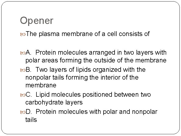 Opener The plasma membrane of a cell consists of A. Protein molecules arranged in