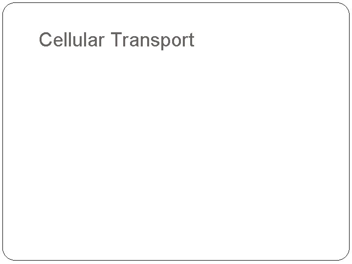 Cellular Transport 