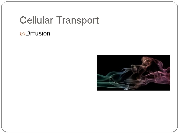Cellular Transport Diffusion 