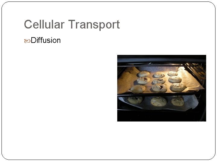 Cellular Transport Diffusion 