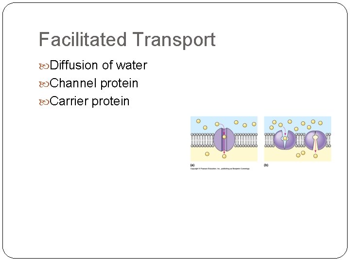 Facilitated Transport Diffusion of water Channel protein Carrier protein 
