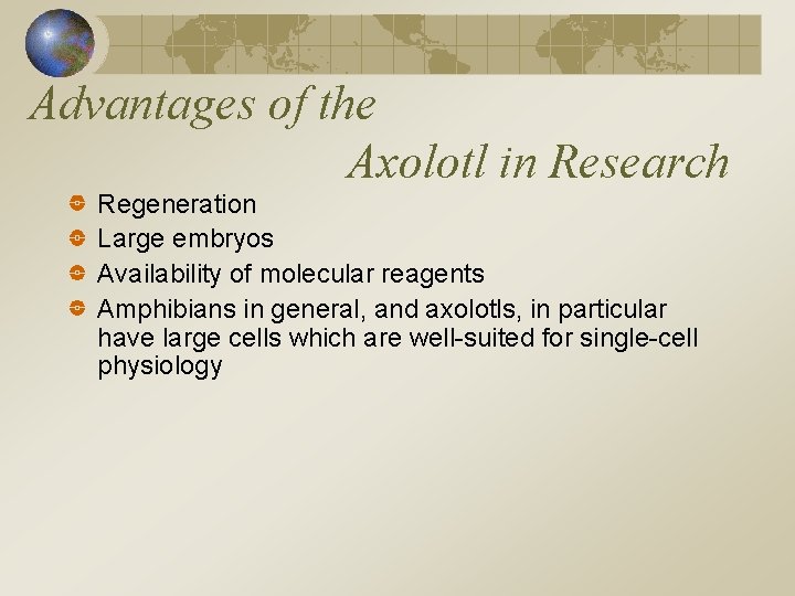 Advantages of the Axolotl in Research Regeneration Large embryos Availability of molecular reagents Amphibians