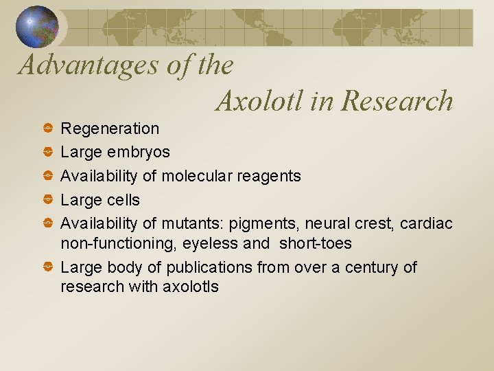 Advantages of the Axolotl in Research Regeneration Large embryos Availability of molecular reagents Large