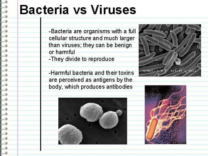 Bacteria vs Viruses -Bacteria are organisms with a full cellular structure and much larger