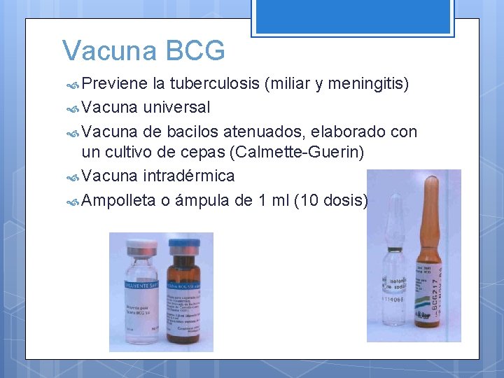 Vacuna BCG Previene la tuberculosis (miliar y meningitis) Vacuna universal Vacuna de bacilos atenuados,
