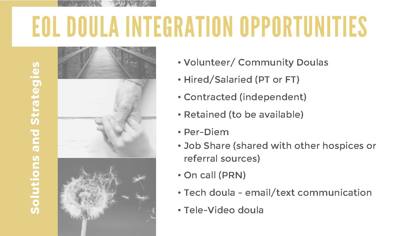  • Volunteer/ Community Doulas • Hired/Salaried (PT or FT) • Contracted (independent) •