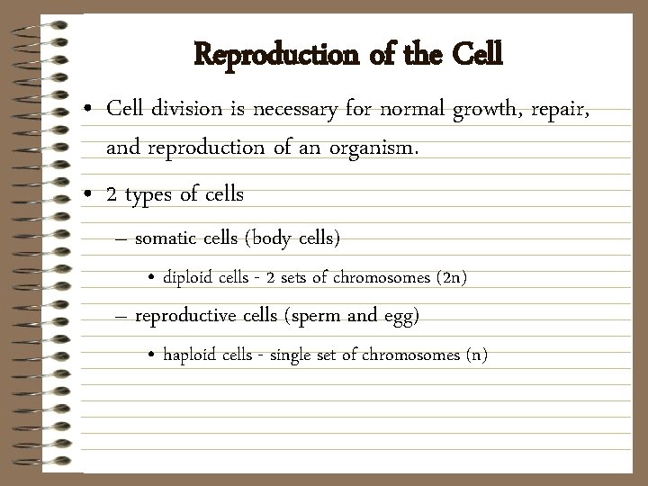 Reproduction of the Cell • Cell division is necessary for normal growth, repair, and