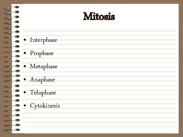 Mitosis • • • Interphase Prophase Metaphase Anaphase Telophase Cytokinesis 