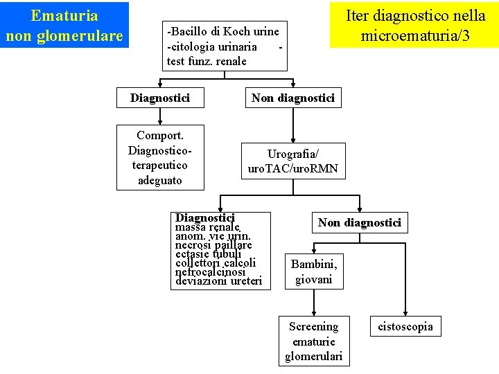 Ematuria non glomerulare Iter diagnostico nella microematuria/3 -Bacillo di Koch urine -citologia urinaria test