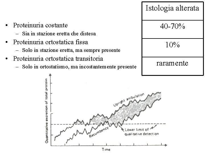 Istologia alterata • Proteinuria costante – Sia in stazione eretta che distesa • Proteinuria