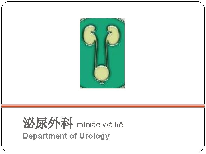 泌尿外科 mìniào wàikē Department of Urology 