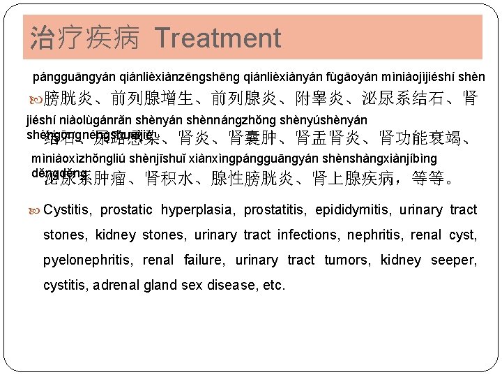 治疗疾病 Treatment pánɡɡuānɡyán qiánlièxiànzēnɡshēnɡ qiánlièxiànyán fùɡāoyán mìniàojìjiéshí shèn 膀胱炎、前列腺增生、前列腺炎、附睾炎、泌尿系结石、肾 jiéshí niàolùɡánrǎn shènyán shènnánɡzhǒnɡ shènyúshènyán