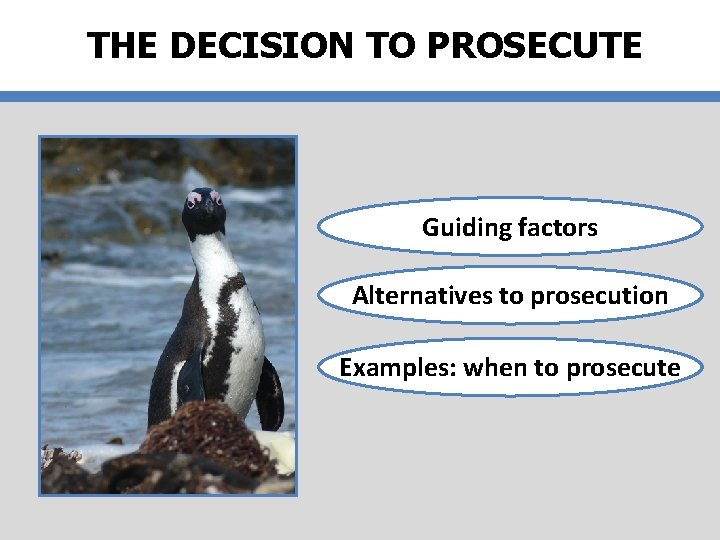 THE DECISION TO PROSECUTE Guiding factors Alternatives to prosecution Examples: when to prosecute 