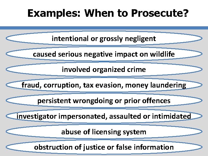 Examples: When to Prosecute? intentional or grossly negligent caused serious negative impact on wildlife
