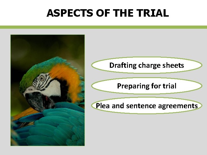 ASPECTS OF THE TRIAL Drafting charge sheets Preparing for trial Plea and sentence agreements