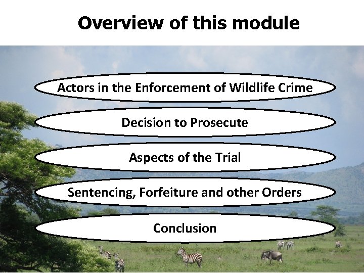 Overview of this module Actors in the Enforcement of Wildlife Crime Decision to Prosecute
