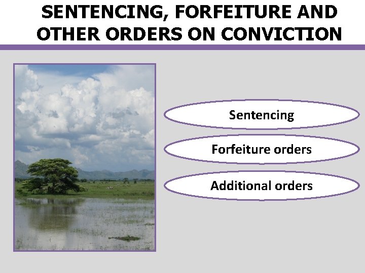 SENTENCING, FORFEITURE AND OTHER ORDERS ON CONVICTION Sentencing Forfeiture orders Additional orders 