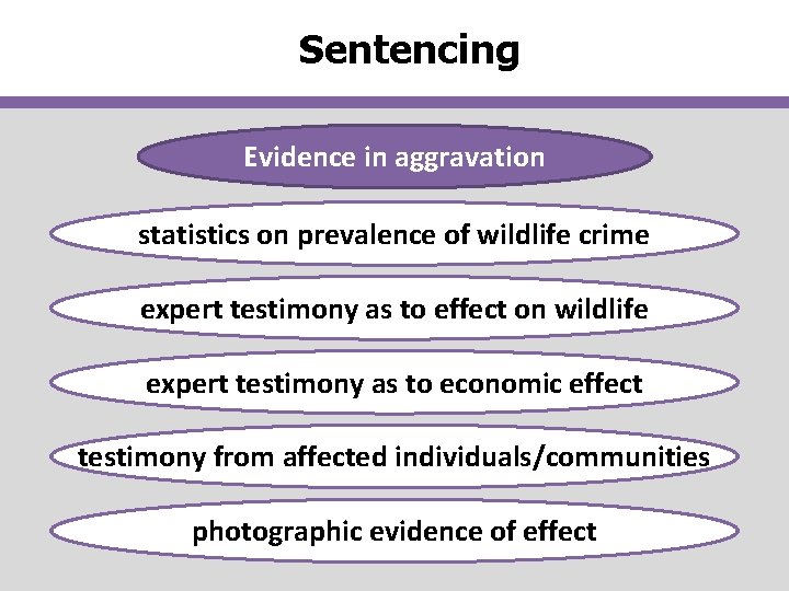 Sentencing Evidence in aggravation statistics on prevalence of wildlife crime expert testimony as to