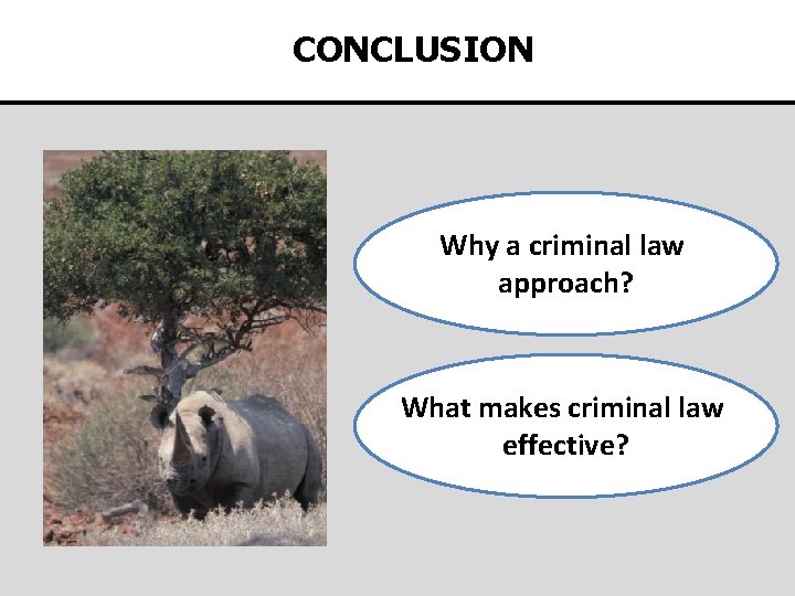 CONCLUSION Why a criminal law approach? What makes criminal law effective? 