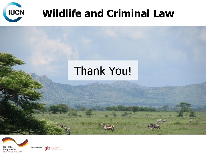 Wildlife and Criminal Law Thank You! 