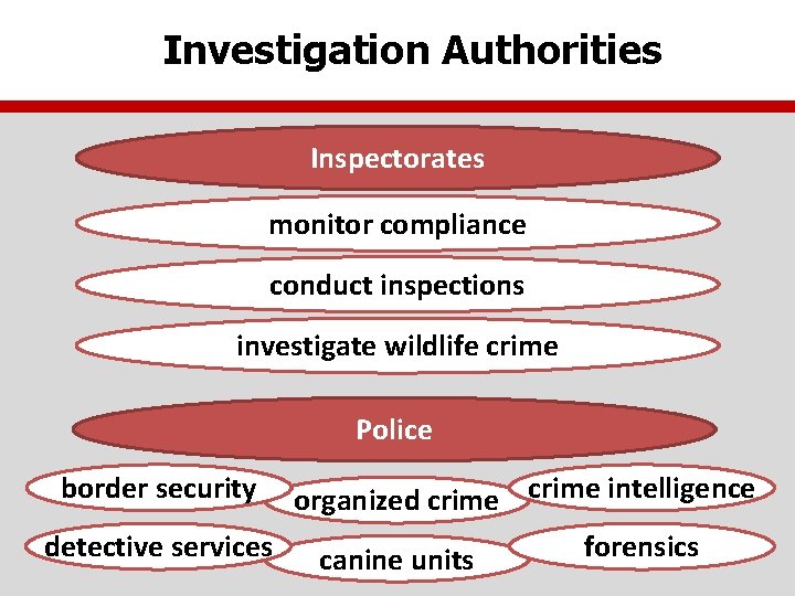 Investigation Authorities Inspectorates monitor compliance conduct inspections investigate wildlife crime Police border security organized