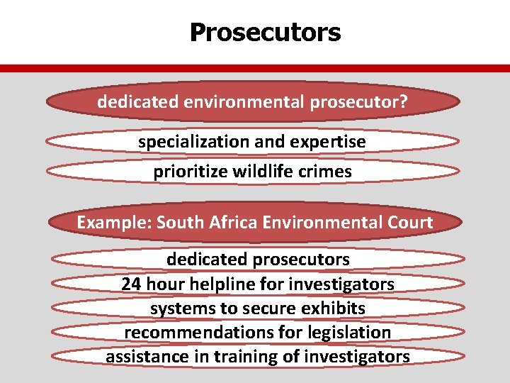 Prosecutors dedicated environmental prosecutor? specialization and expertise prioritize wildlife crimes Example: South Africa Environmental