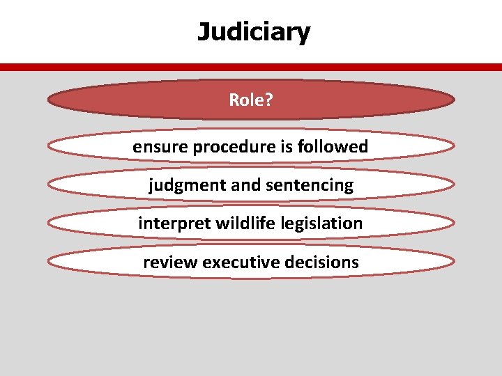 Judiciary Role? ensure procedure is followed judgment and sentencing interpret wildlife legislation review executive