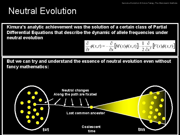 Genome Evolution © Amos Tanay, The Weizmann Institute Neutral Evolution Kimura’s analytic achievement was