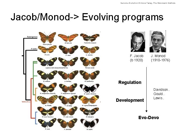 Genome Evolution © Amos Tanay, The Weizmann Institute Jacob/Monod-> Evolving programs F. Jacob (b