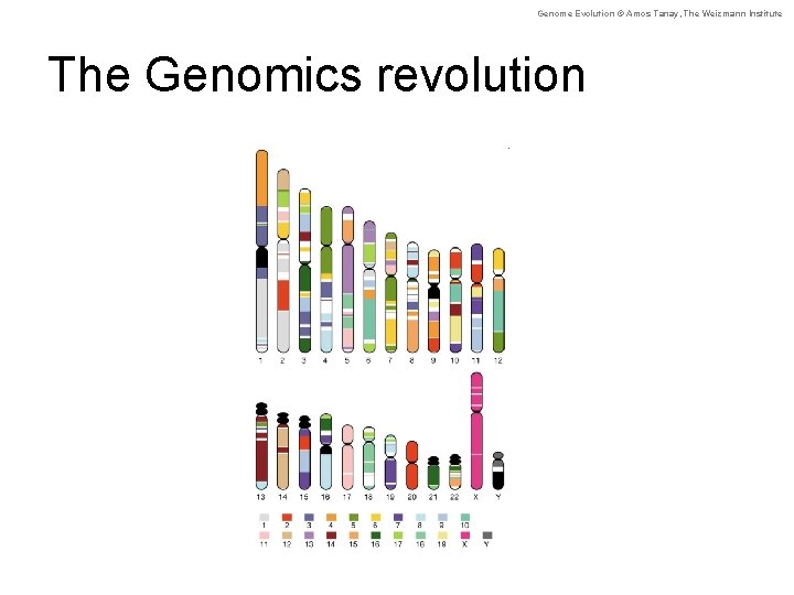 Genome Evolution © Amos Tanay, The Weizmann Institute The Genomics revolution 