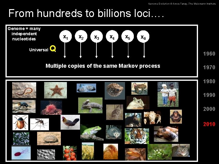 Genome Evolution © Amos Tanay, The Weizmann Institute From hundreds to billions loci…. Genome