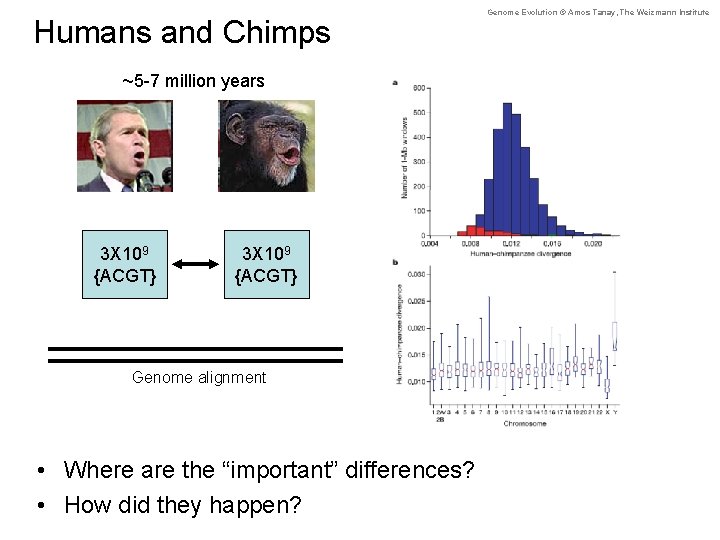 Humans and Chimps ~5 -7 million years 3 X 109 {ACGT} Genome alignment •