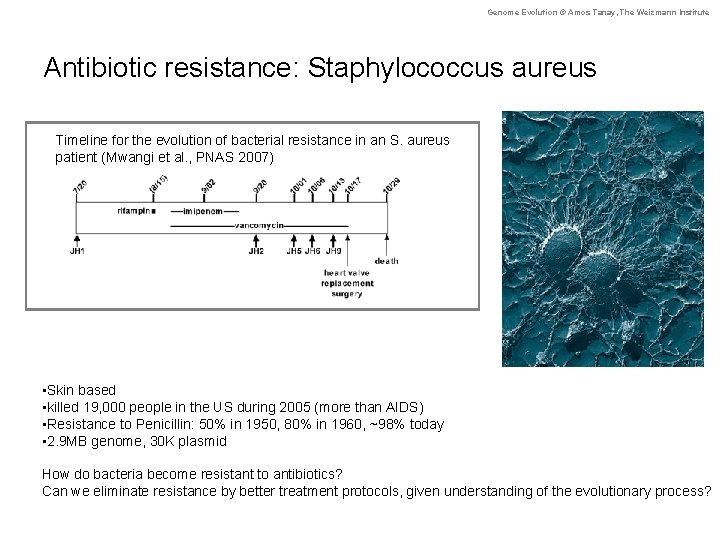 Genome Evolution © Amos Tanay, The Weizmann Institute Antibiotic resistance: Staphylococcus aureus Timeline for