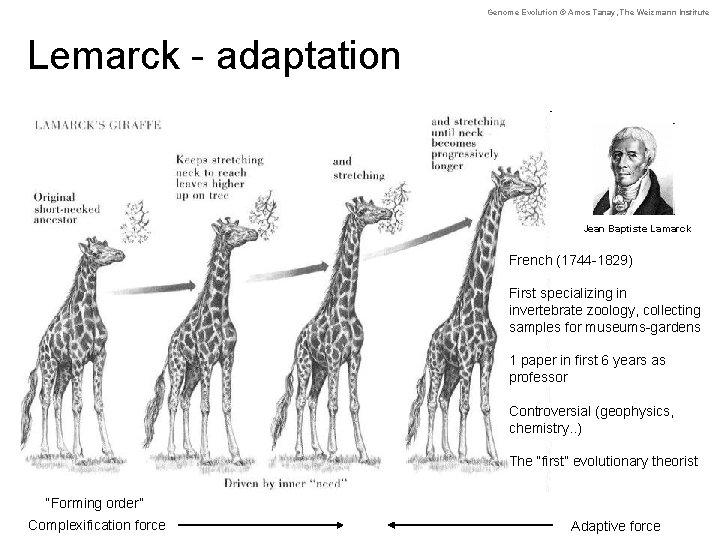 Genome Evolution © Amos Tanay, The Weizmann Institute Lemarck - adaptation Jean Baptiste Lamarck