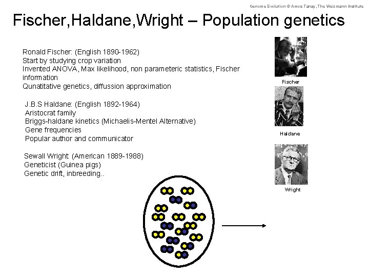 Genome Evolution © Amos Tanay, The Weizmann Institute Fischer, Haldane, Wright – Population genetics