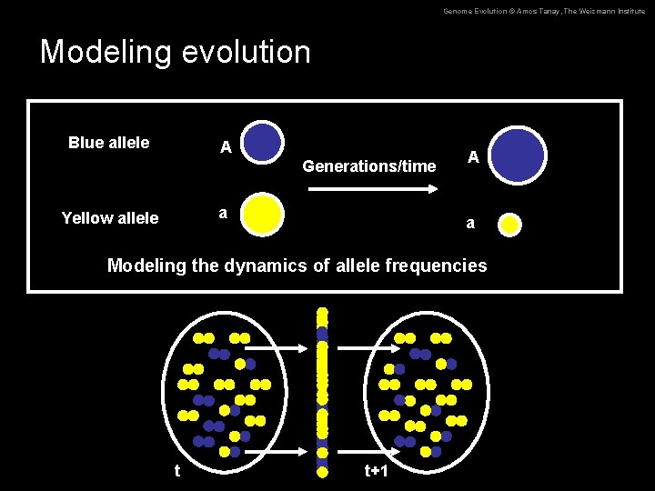 Genome Evolution © Amos Tanay, The Weizmann Institute Modeling evolution Blue allele A Generations/time