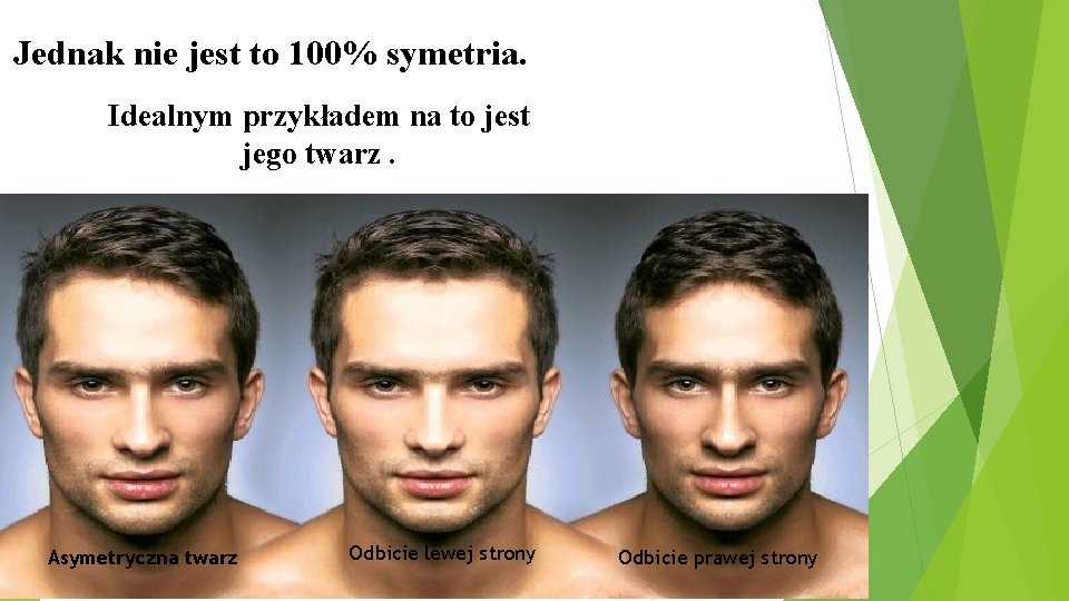 Jednak nie jest to 100% symetria. Idealnym przykładem na to jest jego twarz. Asymetryczna