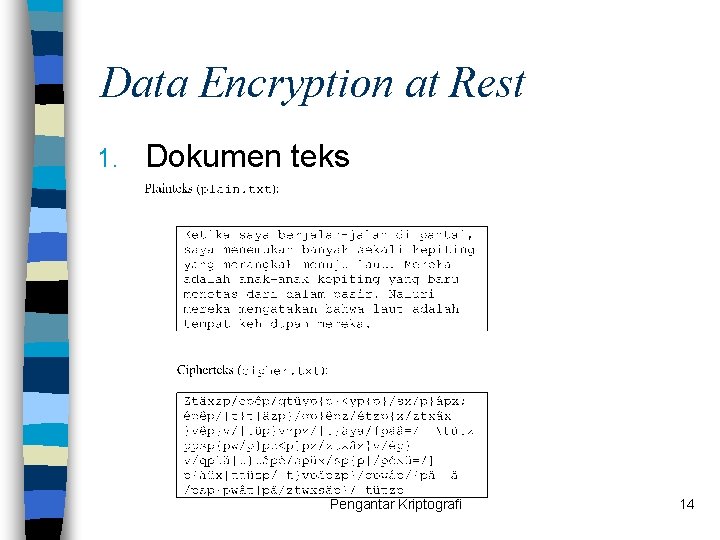 Data Encryption at Rest 1. Dokumen teks Pengantar Kriptografi 14 