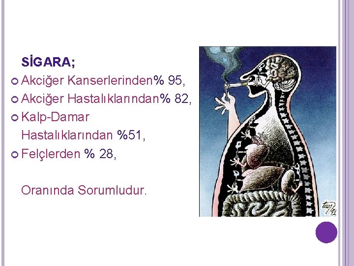 SİGARA; Akciğer Kanserlerinden% 95, Akciğer Hastalıklarından% 82, Kalp-Damar Hastalıklarından %51, Felçlerden % 28, Oranında