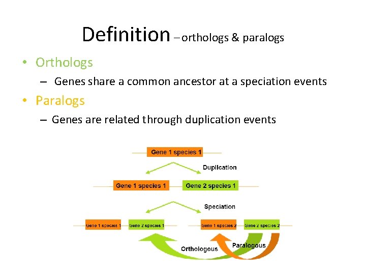 Definition – orthologs & paralogs • Orthologs – Genes share a common ancestor at