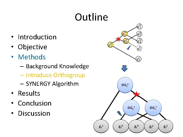 Outline • Introduction • Objective • Methods – Background Knowledge – Introduce Orthogroup –