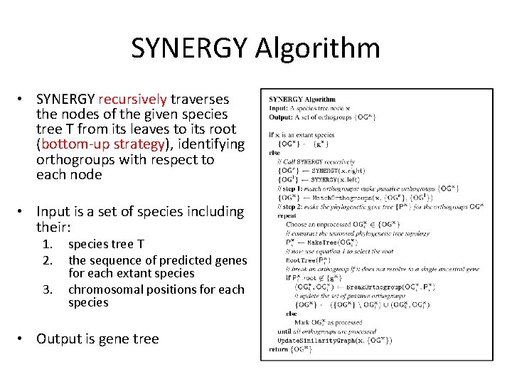 SYNERGY Algorithm • SYNERGY recursively traverses the nodes of the given species tree T