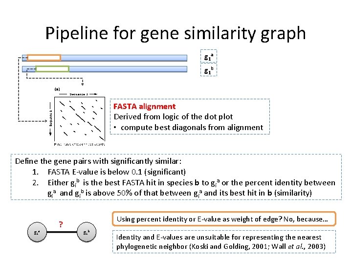 Pipeline for gene similarity graph g 1 a g 1 b FASTA alignment Derived