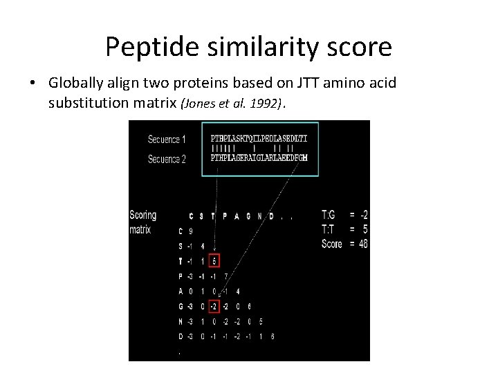 Peptide similarity score • Globally align two proteins based on JTT amino acid substitution