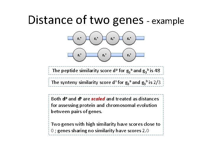 Distance of two genes - example g 1 A g 1 B g 2