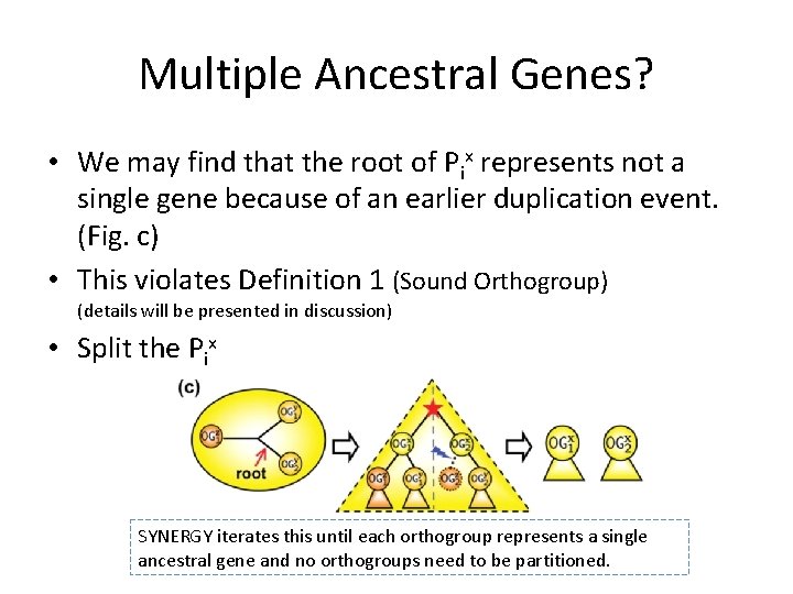 Multiple Ancestral Genes? • We may find that the root of Pix represents not