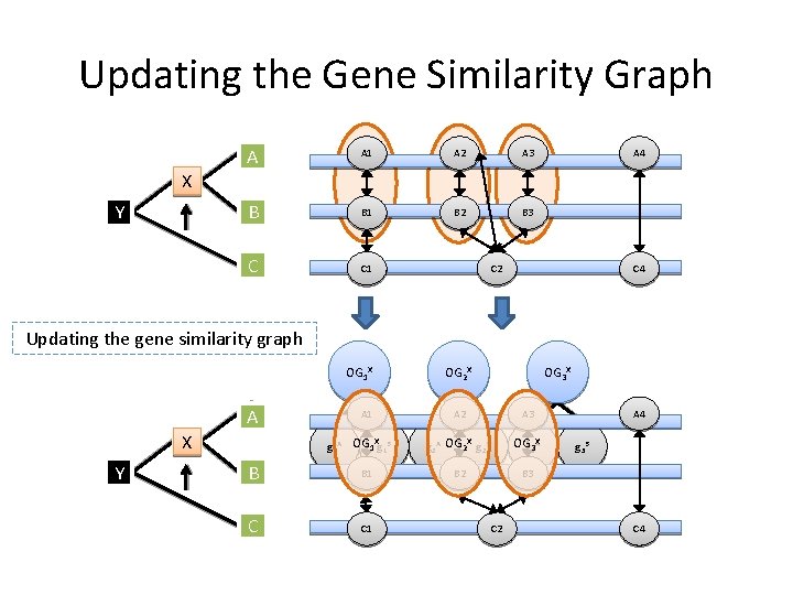 Updating the Gene Similarity Graph A A 1 A 2 A 3 B B