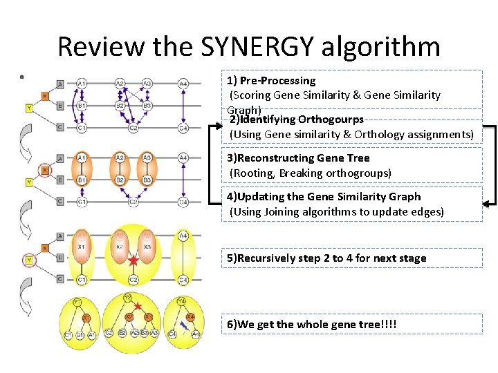 Review the SYNERGY algorithm 1) Pre-Processing (Scoring Gene Similarity & Gene Similarity Graph) 2)Identifying